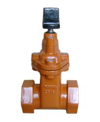 Screw End NRS Resilient Seated Gate Valves