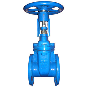 Flanged End OS&Y Resilient Seated Gate Valve